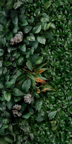 Керамогранит Panaria Ceramica Glam 50х100, Greenwall D, 3,5 мм 