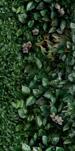 Керамогранит Panaria Ceramica Glam 50х100, Greenwall A, 3,5 мм 
