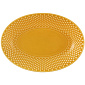 Блюдо овальн. глубокое Bicos Yellow 28х19,7 см