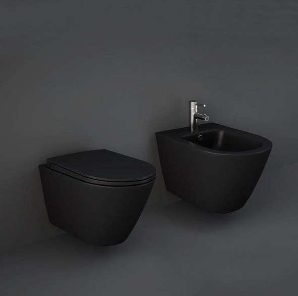 Унитаз подвесной RAK Ceramics Feeling RST23503A, с сиденьем