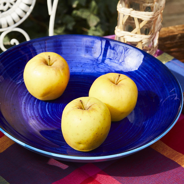 Блюдо глубокое Portata Ritual 32 см, синее