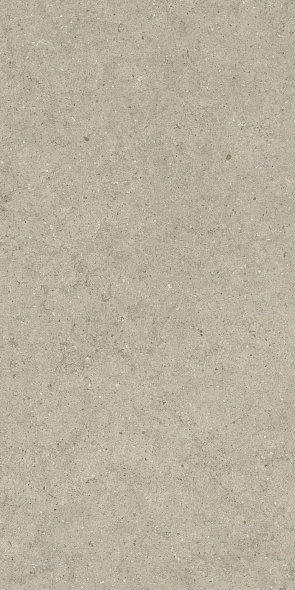 Керамогранит Italon Forum 60х120 Naturale, Stone Desert, 9 мм