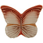 Тарелка салатная Cloudy Butterflies by Claudia Schiffer 31,1х25,4 см