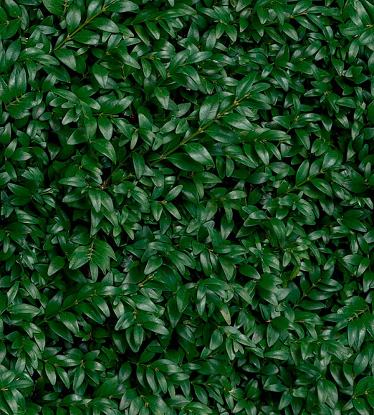 Керамогранит Panaria Ceramica Glam 50х100, Greenwall E, 3,5 мм