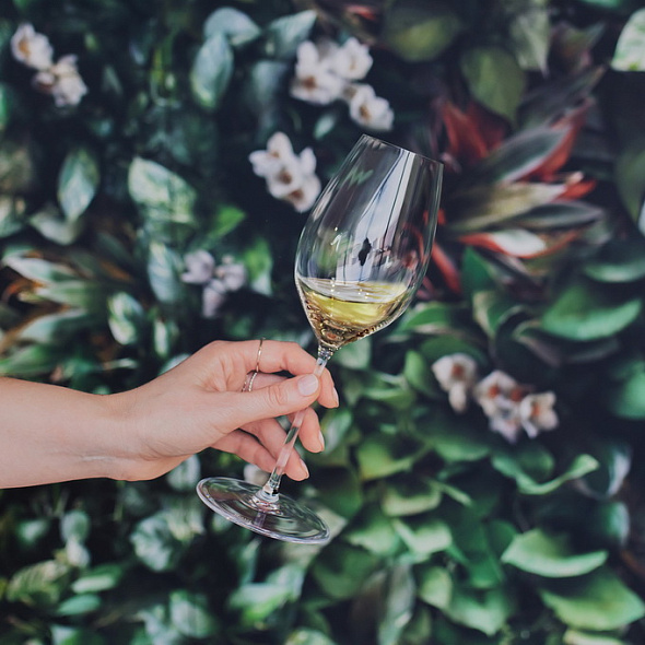 Набор бокалов для вина Sauvignon Blanc Performance 440 мл, 2 шт