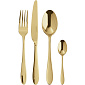 Набор столовых приборов Velvet Gold, 24 предмета