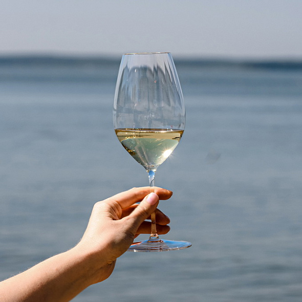 Набор бокалов для вина Riesling Performance 623 мл, 2 шт