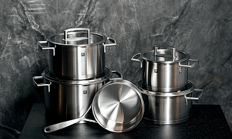 Zwilling Vitality