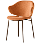 Стул Calligaris Holly CS2037, Amber