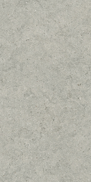Керамогранит Italon Forum 60х120 Naturale, Stone Silver, 9 мм
