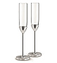Набор бокалов для шампанского Vera Wang With Love Nouveau Silver, 2 шт