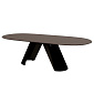 Стол Calligaris Apian 250х110, Bronze