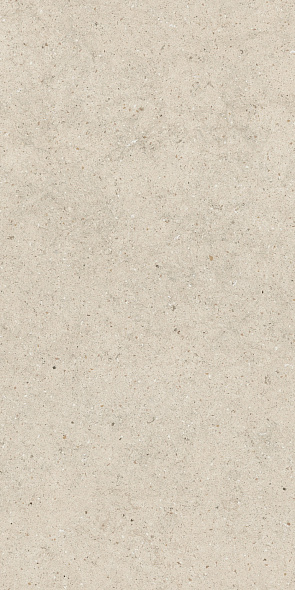 Керамогранит Italon Forum 60х120 Naturale, Stone Pure, 9 мм