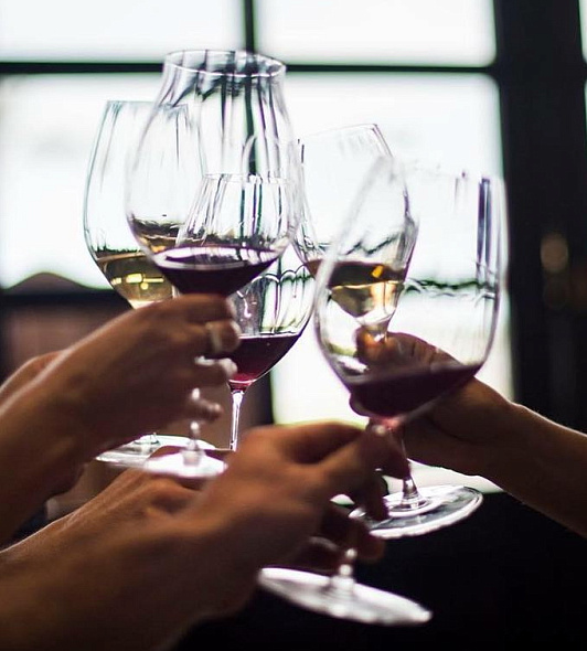 Набор бокалов для вина Syrah Performance 630 мл, 2 шт