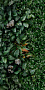 Керамогранит Panaria Ceramica Glam 50х100, Greenwall D, 3,5 мм 