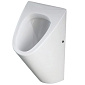 Писсуар RAK Ceramics Venice VN20AWHA