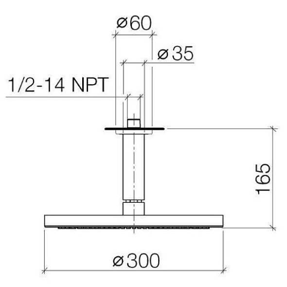Лейка для душа Dornbracht Tara.Logic 30x30, с держателем, хром