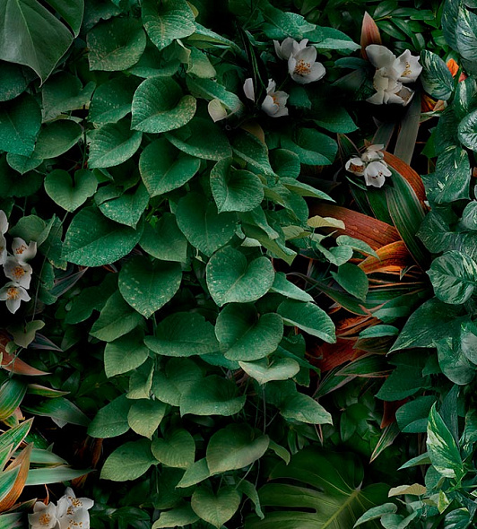 Керамогранит Panaria Ceramica Glam 50х100, Greenwall C, 3,5 мм 
