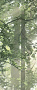 Керамогранит Panaria Ceramica Glam 50х100, Brushwood C , 3,5 мм