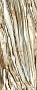 Керамогранит Imola The room 120х278 LP, Calacatta Oyster, 6,5 мм