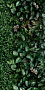 Керамогранит Panaria Ceramica Glam 50х100, Greenwall A, 3,5 мм 