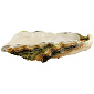 Блюдо сервировочное Oyster & Scallops 60х26х15,8 см