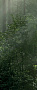 Керамогранит Panaria Ceramica Glam 50х100, Brushwood H, 3,5 мм