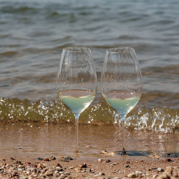 Набор бокалов для вина Riesling Performance 623 мл, 2 шт
