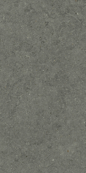 Керамогранит Italon Forum 60х120 Naturale, Stone Iron, 9 мм