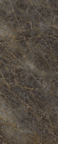 Керамогранит La Faenza Aesthetica 120х278 LP, Golden Black, 6,5 мм