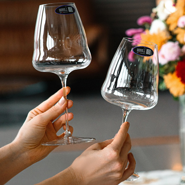 Бокал для вина Champagne Winewings 742 мл