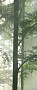Керамогранит Panaria Ceramica Glam 50х100, Brushwood A, 3,5 мм