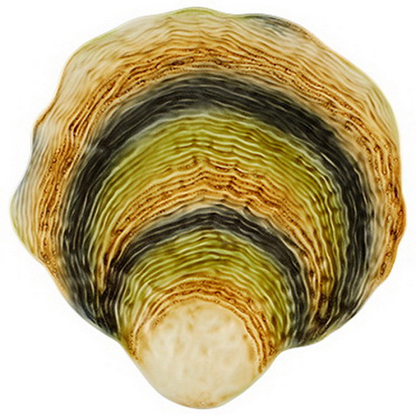 Блюдо сервировочное Oyster & Scallops 36,2х36,1 см