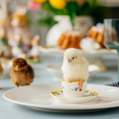 Стаканчик для яйца с блюдцем Spring Awakening