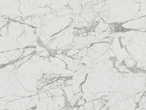 Керамогранит Italon Charme Evo 60х60 Naturale, Statuario, 9 мм