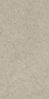 Керамогранит Italon Forum 60х120 Naturale, Stone Desert, 9 мм