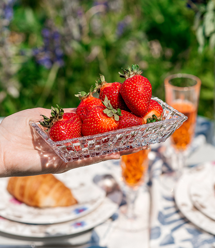 Dancing Stars Bossa Nova