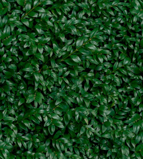Керамогранит Panaria Ceramica Glam 50х100, Greenwall E, 3,5 мм