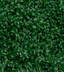 Керамогранит Panaria Ceramica Glam 50х100, Greenwall E, 3,5 мм