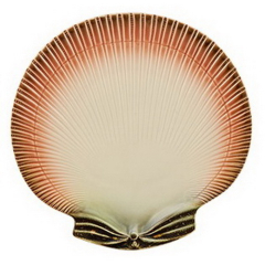 Тарелка салатная Oyster & Scallops 20,5х21 см
