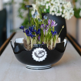 Салатник Herbariae by Christian Lacroix 26,7 см