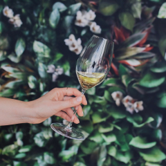 Набор бокалов для вина Sauvignon Blanc Performance 440 мл, 2 шт
