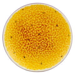 Блюдо "Маракуйя" 21 см