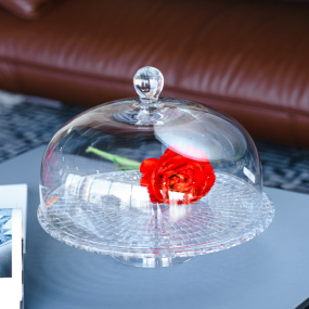 Блюдо для торта с крышкой Bossa Nova 32 см