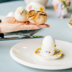 Стаканчик для яйца с блюдцем Spring Awakening