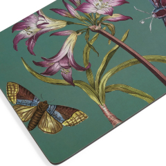 Набор подставок под тарелку Botanic Garden Flora & Fauna 23х30,5 см, 6 шт