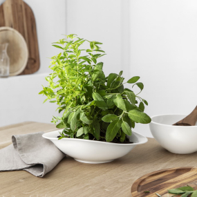 Набор тарелок для пасты Vapiano, 2 шт