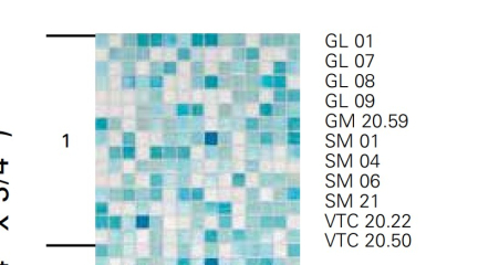 Мозаика стеклянная Bisazza Le Sfumature 32.2х258.8, Gladiolo, 4мм