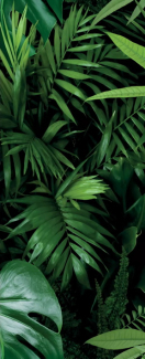 Керамогранит Panaria Ceramica Glam 50х100, Jungle B, 3,5 мм