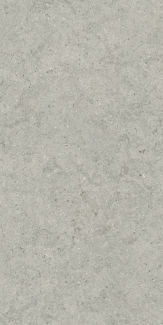 Керамогранит Italon Forum 60х120 Naturale, Stone Silver, 9 мм